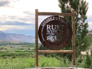 Out n About Al Fresco Dining Launches