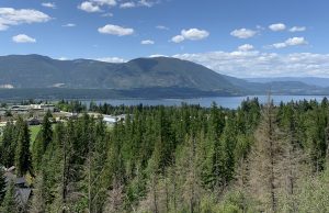 A Perfect Day in Salmon Arm