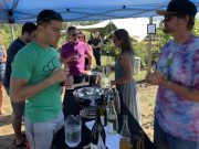GARAGISTE NORTH: SMALL PRODUCERS WINE FESTIVAL 2019