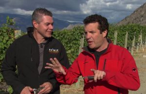 Stomp Grapes at Festival of the Grape