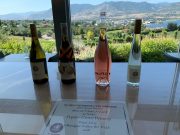 LAST LAPS OF WINE TOURING THE OKANAGAN IN PEAK SEASON, SPEED TASTING DAY ONE