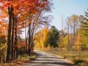 Butter Tarts, Craft Beer & Fall Colours In The Kawarthas