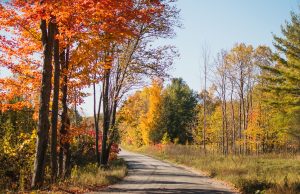 Butter Tarts, Craft Beer & Fall Colours In The Kawarthas