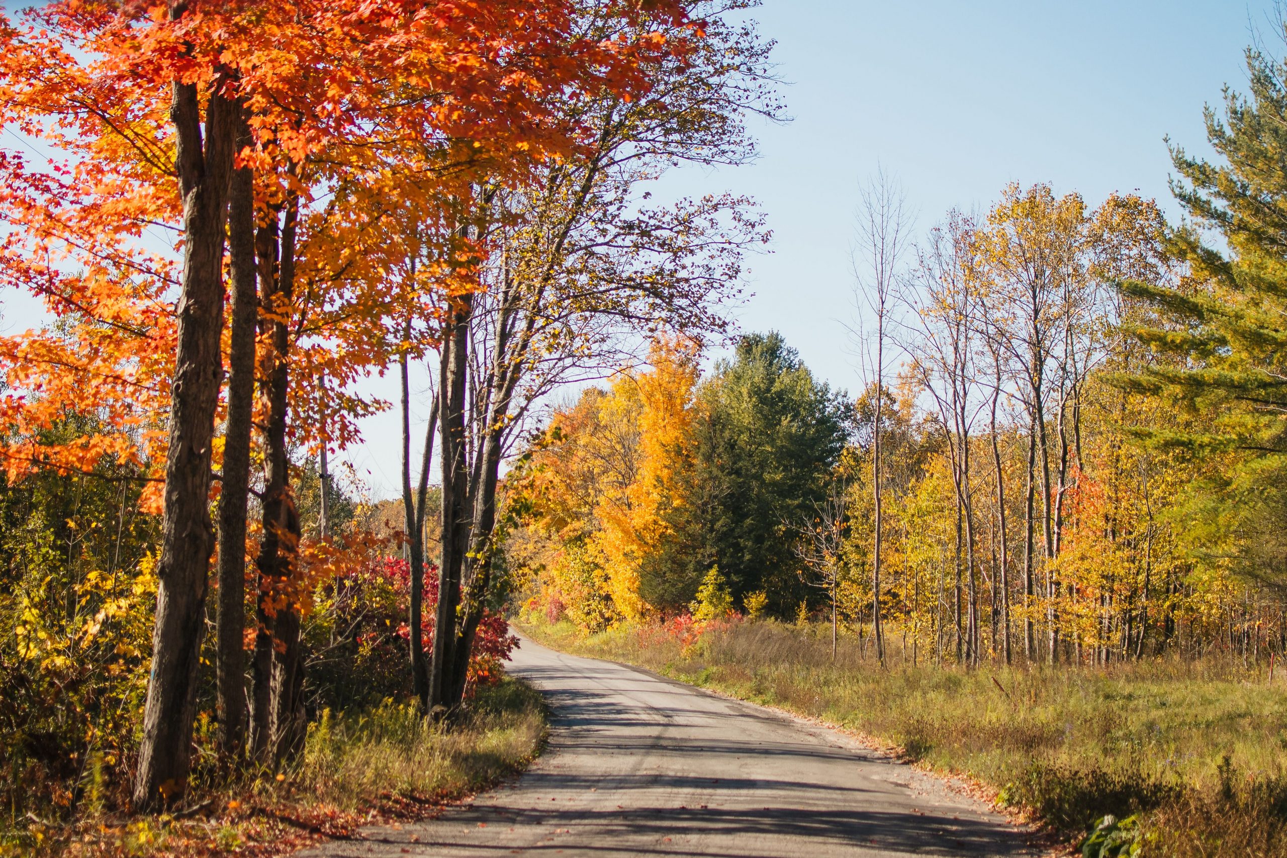 Butter Tarts, Craft Beer & Fall Colours In The Kawarthas - Gonzo ...