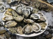 KELOWNA SEAFOOD CELEBRATION MAKES INAUGURAL SPLASH, OCTOBER 17 TO 19