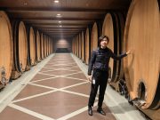 IMPRESSED BY A PEEK AT PHANTOM CREEK