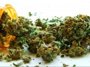 Over 800,000 Canadians are experimenting with recreational or illegal cannabis products for their health