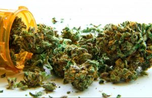 Over 800,000 Canadians are experimenting with recreational or illegal cannabis products for their health