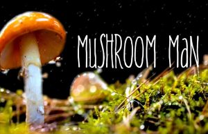 Kelowna creators receive $20k each to produce compelling and innovative web series