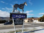Beauty and Beast: Penticton