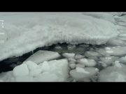 Jennifer Abbott’s The Magnitude Of All Things leads selection of 5 NFB films at VIFF 2020