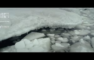 Jennifer Abbott’s The Magnitude Of All Things leads selection of 5 NFB films at VIFF 2020