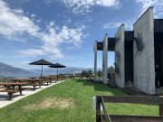 BLACK SWIFT VINEYARDS ‘HATCHED’ WITH SCREAMING FRENZY IN WEST KELOWNA