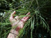 Science Matters – Humility, caring and wisdom make a better future possible