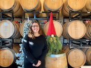 GNOME FOR THE HOLIDAYS