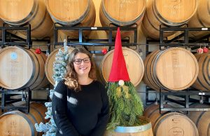 GNOME FOR THE HOLIDAYS