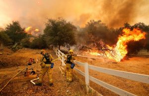 Science Matters by David Suzuki – Net zero offers affordable path to climate stability