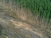 Science Matters – Faulty economic thinking makes destroying nature profitable Science Matters - Faulty economic thinking makes destroying nature profitable