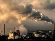 Science Matters By David Suzuki – Supreme Court decision puts Canada on right track for carbon pricing Supreme Court decision puts Canada on right track for carbon pricing By David Suzuki