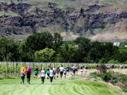 Get ready for the highly anticipated Half Corked Marathon weekend in Oliver Osoyoos Wine Country Half-Corked-Marathon