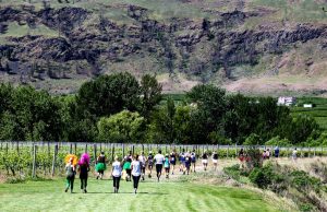Get ready for the highly anticipated Half Corked Marathon weekend in Oliver Osoyoos Wine Country Half-Corked-Marathon