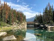 Science Matters By David Suzuki – Reconciliation means rethinking parks governance Reconciliation means rethinking parks governance By David Suzuki