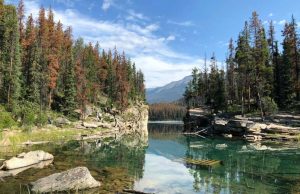 Science Matters By David Suzuki – Reconciliation means rethinking parks governance Reconciliation means rethinking parks governance By David Suzuki