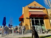 LIFE’S A BEACH AT FLIP FLOPS & HOPS FLIP FLOPS & HOPS