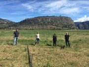 ROUTE 97 CULTURE ANNOUNCES NEW INITIATIVE Route 97 Culture