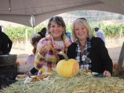 Pig Out wine adventure selling out fast