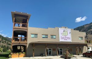 New Leaf at Tree To Me Inn