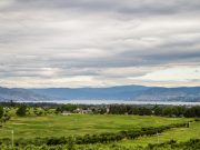 Few spots remain in Kelowna Wine Country Run