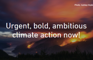 How do we respond to a climate “code red?”