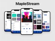 Music platform MapleStream supports Canadian artists