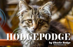 Hodgepodge by Charlie Hodge – I sensed he was there