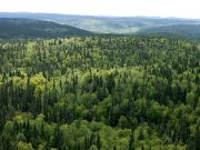 Canada’s forest sector announces awards of excellence recipients