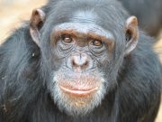 If our stories set us apart, we need to create new ones