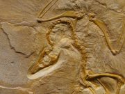 We have to stop squandering our brief time on Earth