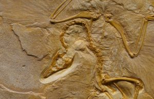 We have to stop squandering our brief time on Earth