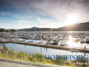 Hodge shares best food and fun from 2021