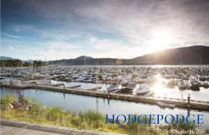 Hodge shares best food and fun from 2021