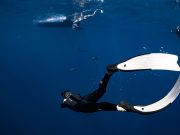 We are all ecosystems within ecosystems