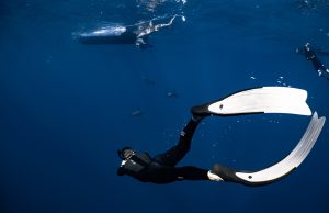 We are all ecosystems within ecosystems