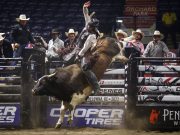 Brock Radford wins Professional Bull Riders Elite Cup Series event in Kelowna