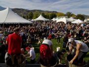 Bring your grape stomping dreams to life this fall in Oliver Osoyoos Wine Country