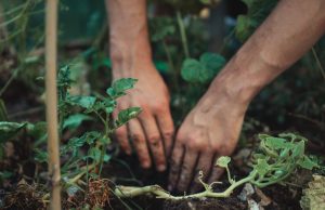 Everything matters in an interconnected world