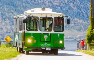 Grape Savvy Wine Trolley x Naramata Inn Halloween Package