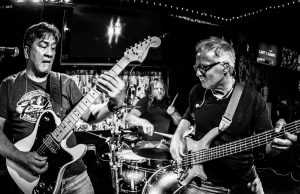 A year with Gonzo Okanagan