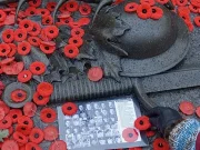 HodgePodge: Honouring the vets