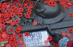 HodgePodge: Honouring the vets